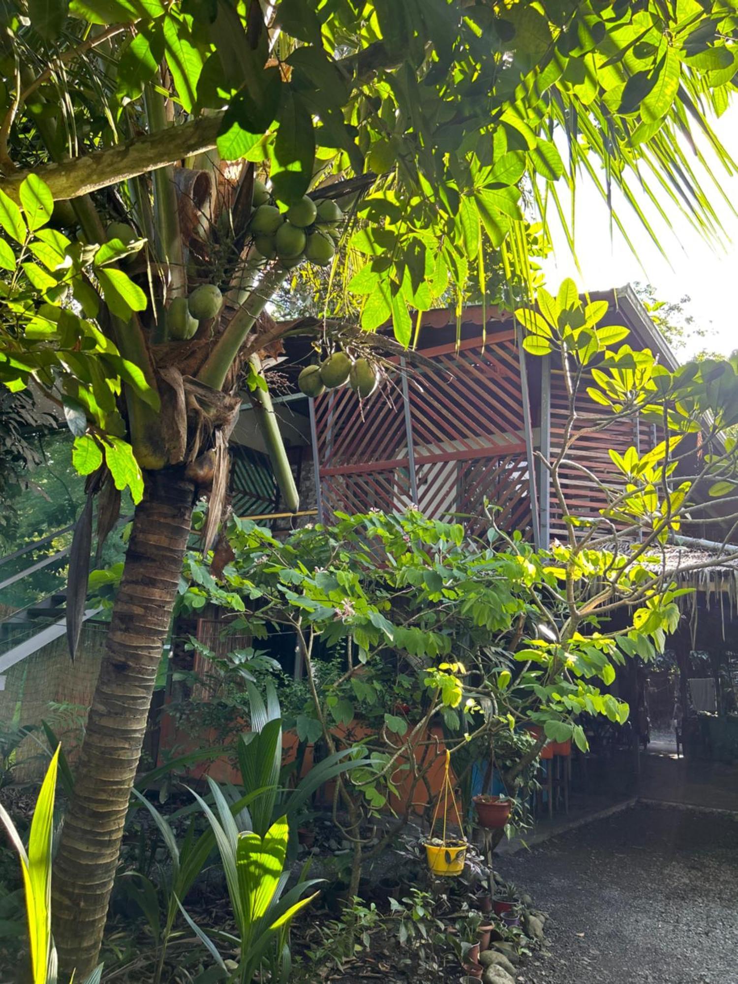 Organico Punta Riel Hotel Cahuita Buitenkant foto