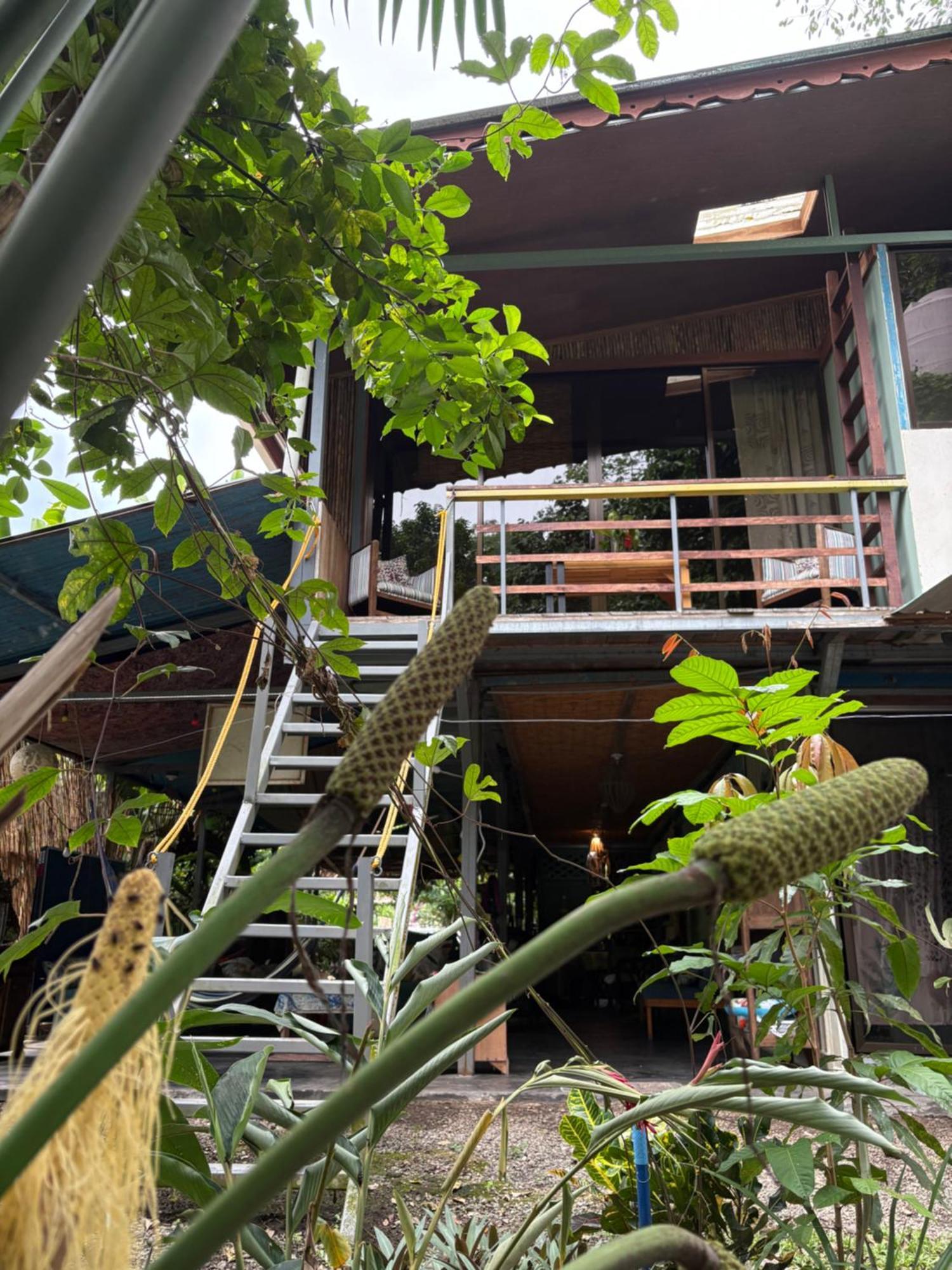 Organico Punta Riel Hotel Cahuita Buitenkant foto