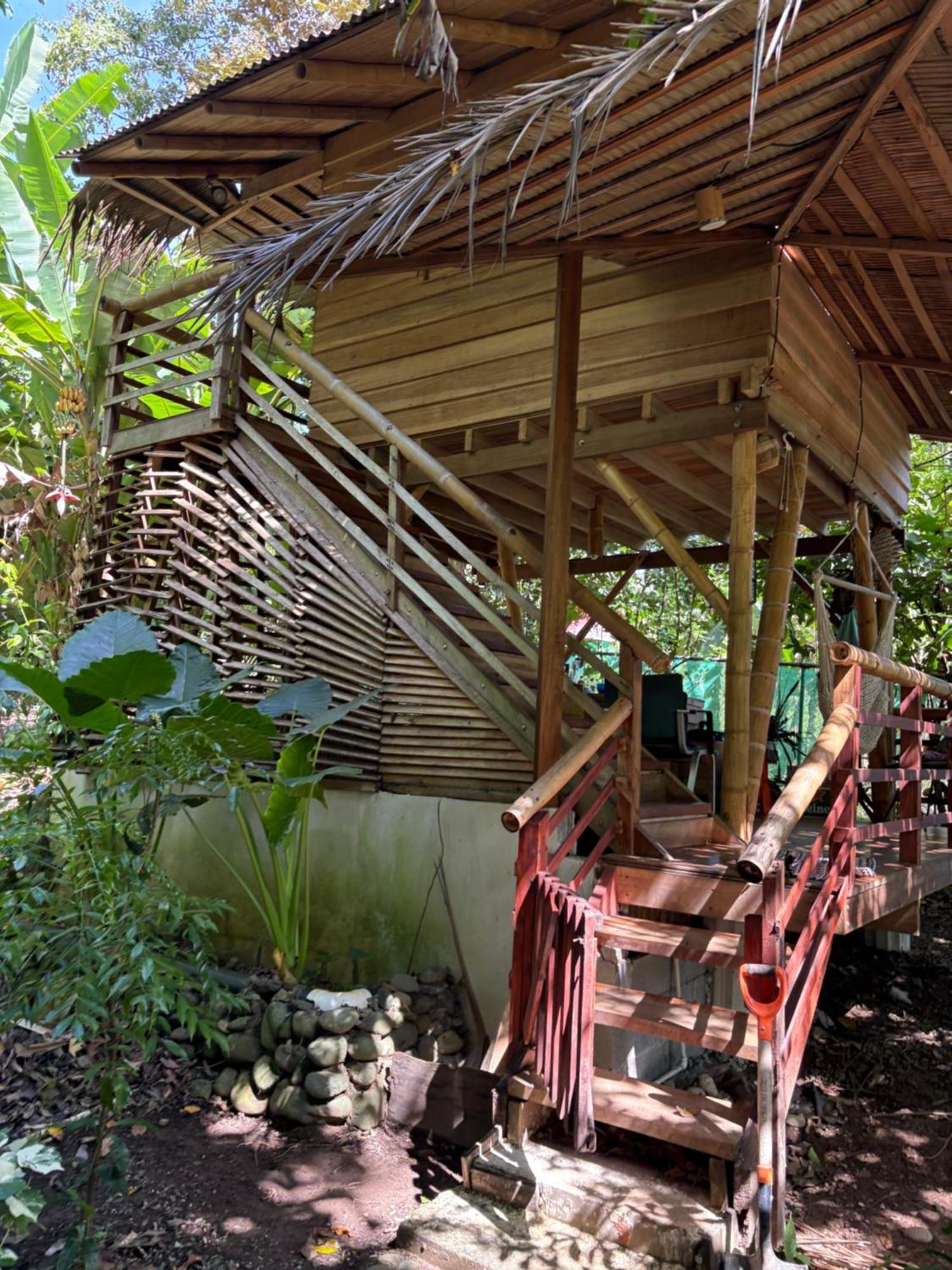Organico Punta Riel Hotel Cahuita Buitenkant foto