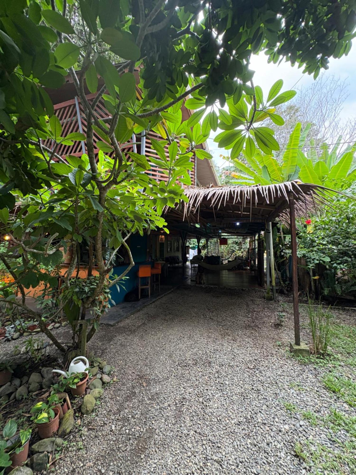 Organico Punta Riel Hotel Cahuita Buitenkant foto