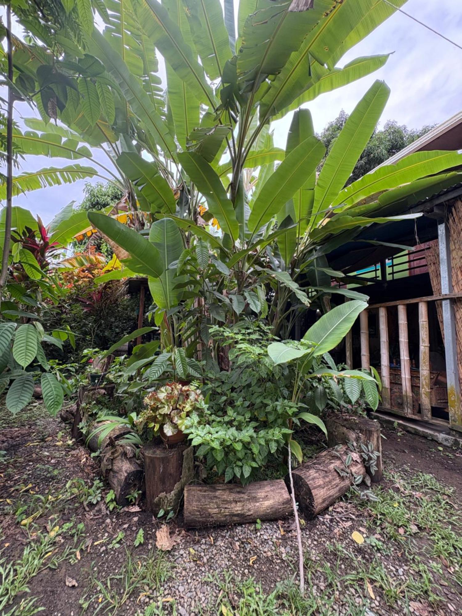 Organico Punta Riel Hotel Cahuita Buitenkant foto