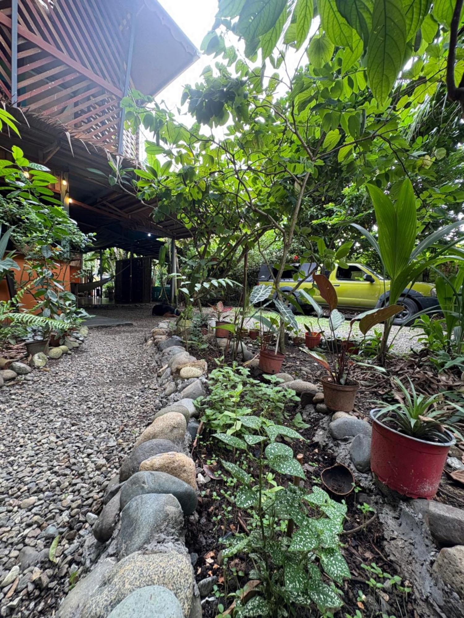 Organico Punta Riel Hotel Cahuita Buitenkant foto